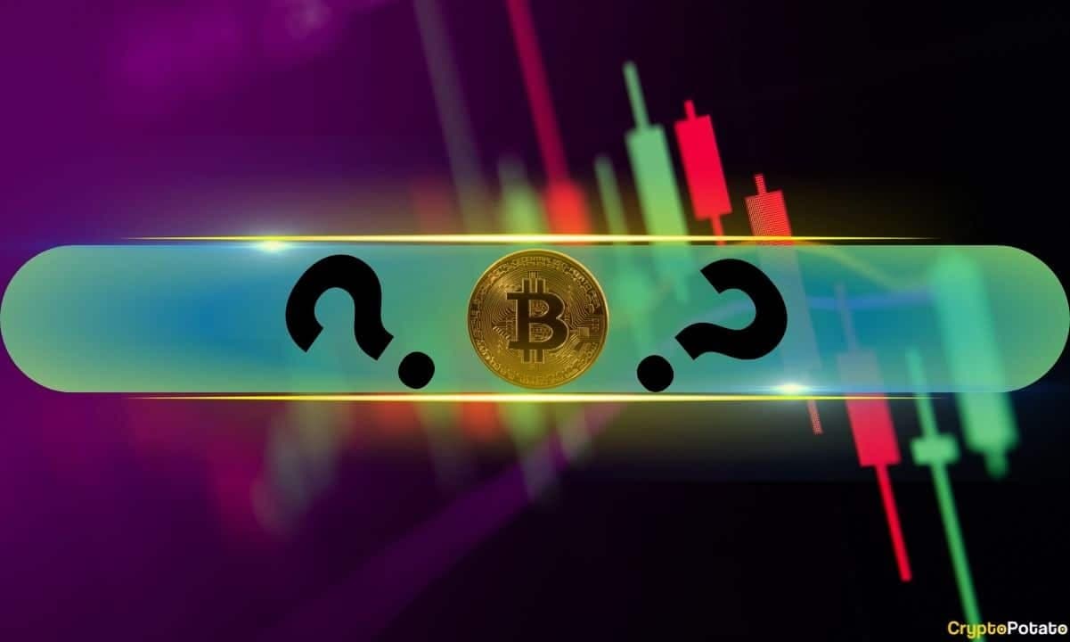 Double-Digits Gains From These Altcoins, BTC Stopped After 10-Week High: Weekend Watch