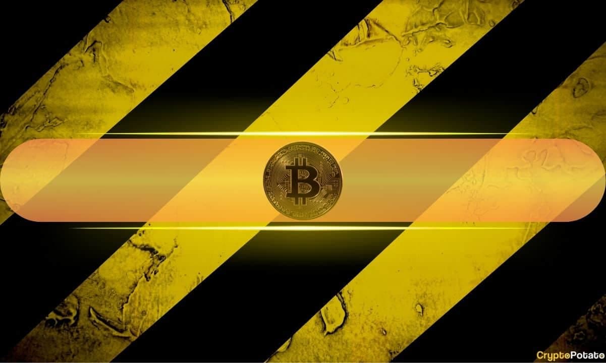 The FOMO Is Back: Why Bitcoin’s Latest Rally Has Analysts Flashing Warning Signs