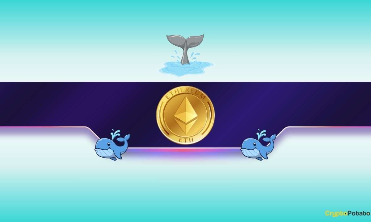 Ethereum Whales Go on Accumulation Spree as ETH Awaits Major Trigger