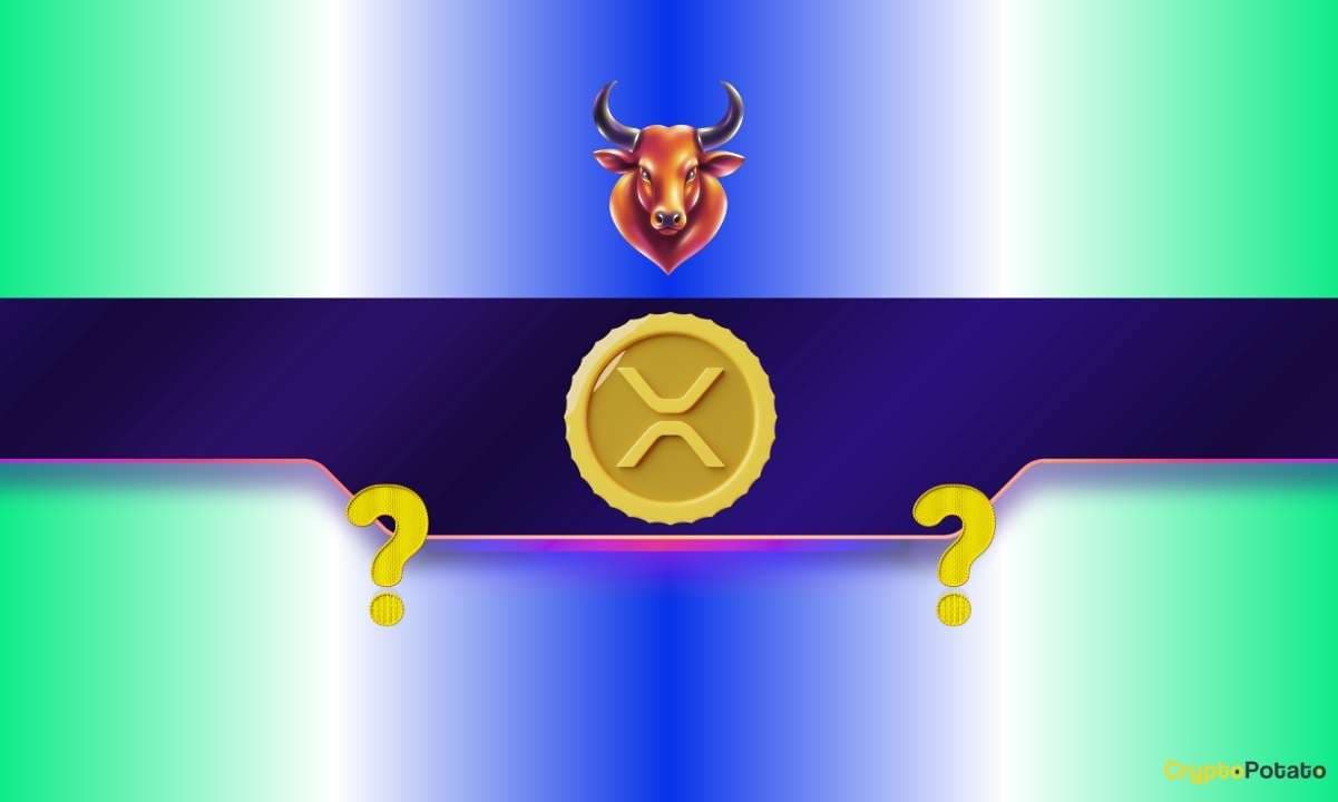 The Next Ripple (XRP) Bull Run Will Be Huge: Analyst Makes Big Price Call