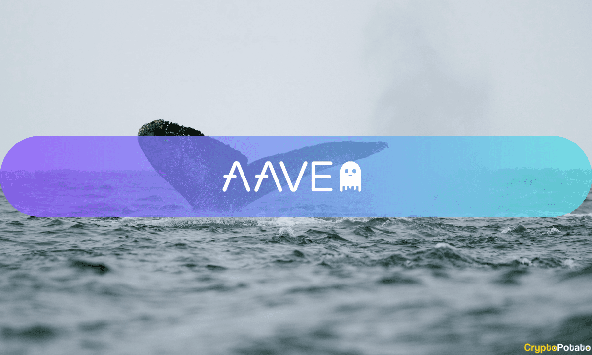 Whales Circle AAVE Amid Chaos: Is This Another Market Bottom Signal?