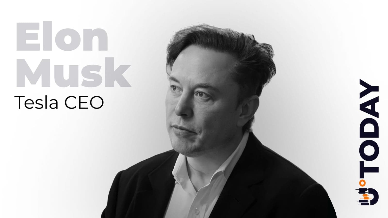 Elon Musk Reveals How to Deal With AI in Pro-Crypto Way