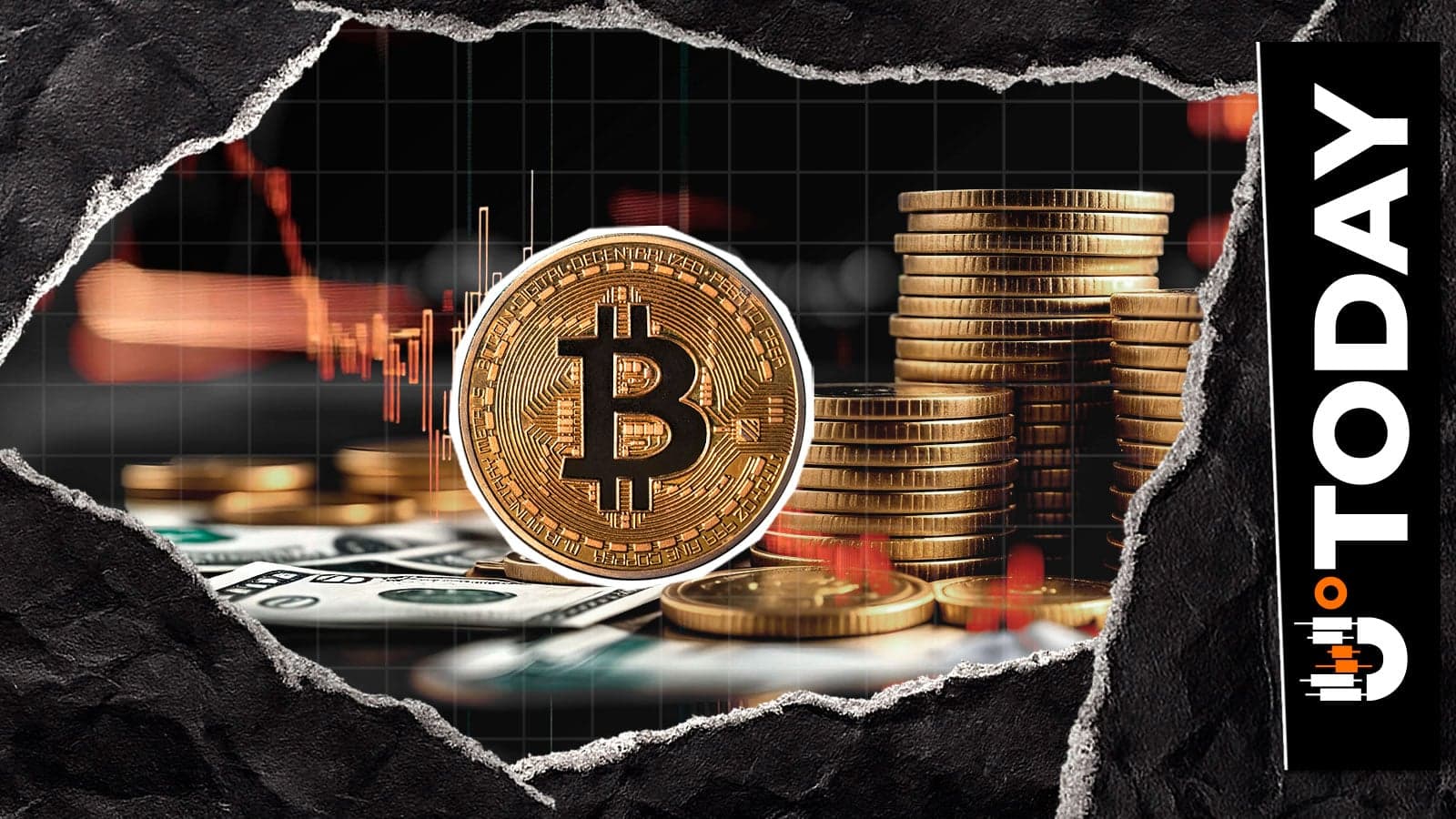 Bitcoin Whales Stack $217 Million Bid Wall While Sell Zone Looms at $80,000