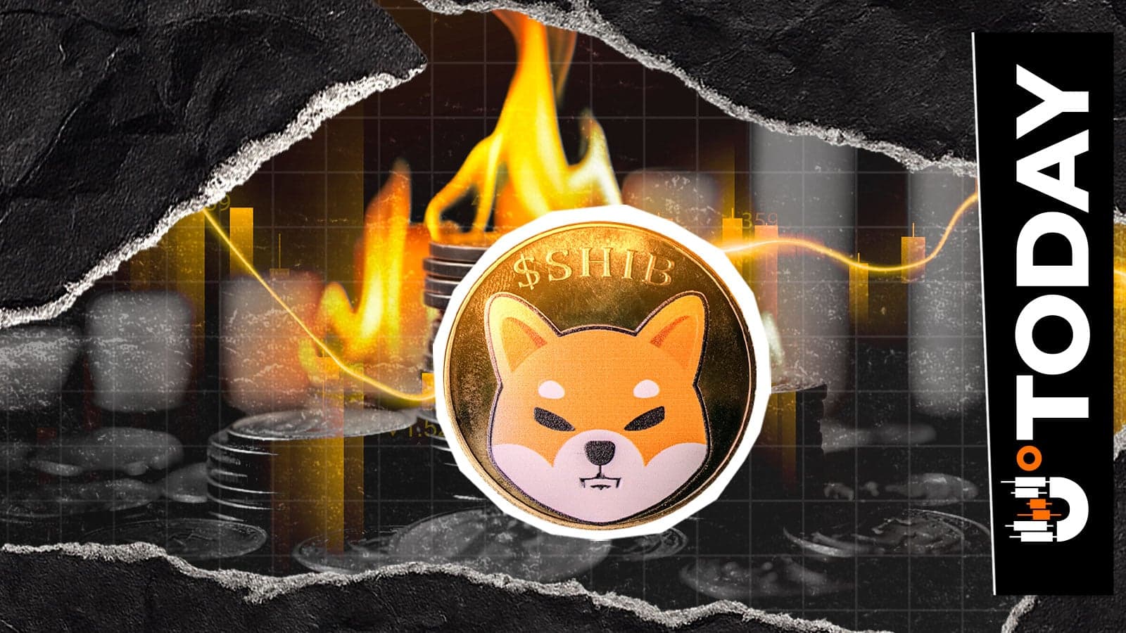 Only $29 in SHIB Burned: Who's Behind Low 24-Hour Total?