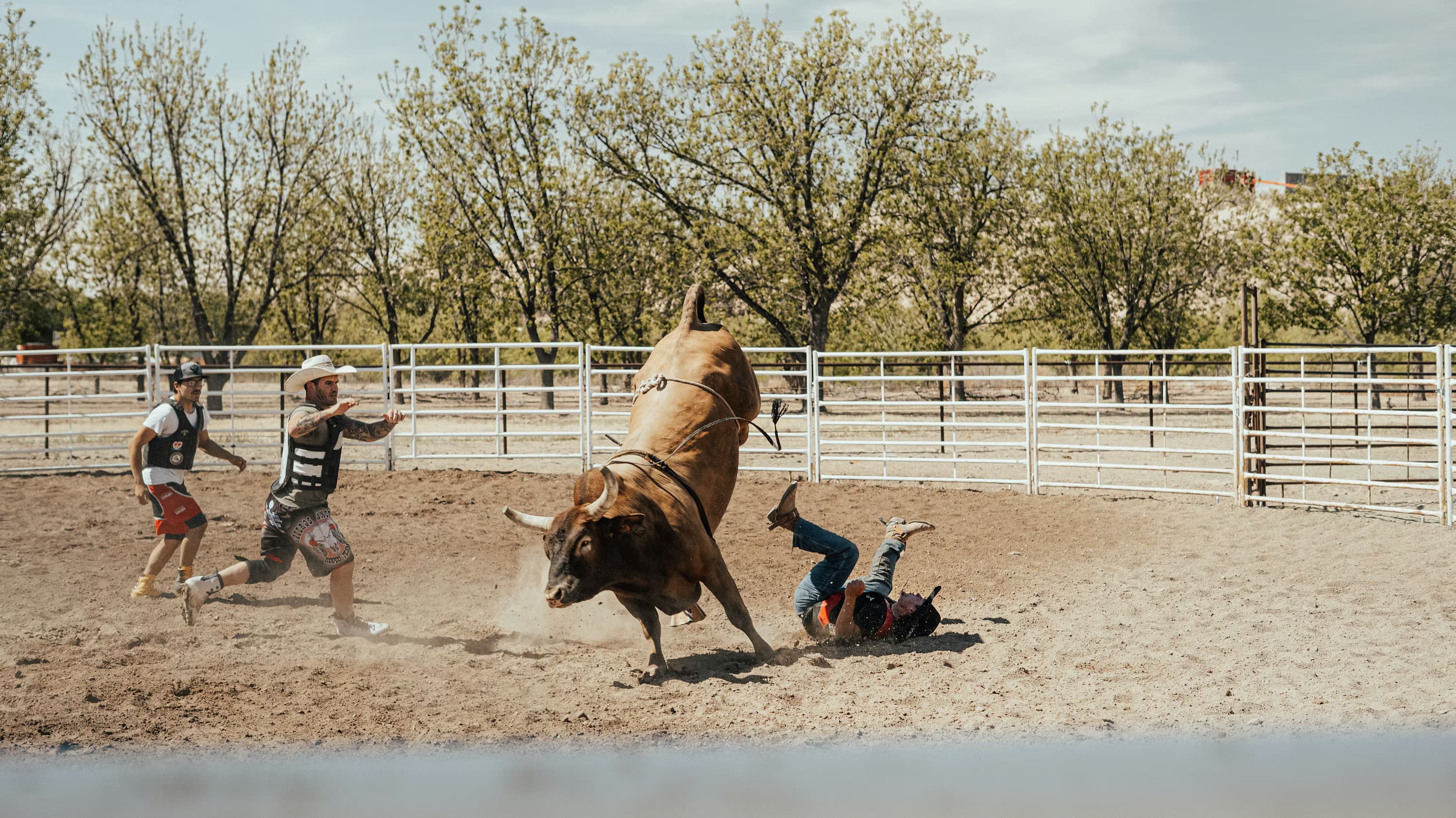 Analyst Predicts Biggest Bitcoin Bull Trap Of The Cycle, Calls Out 50% Crash To $42,000
