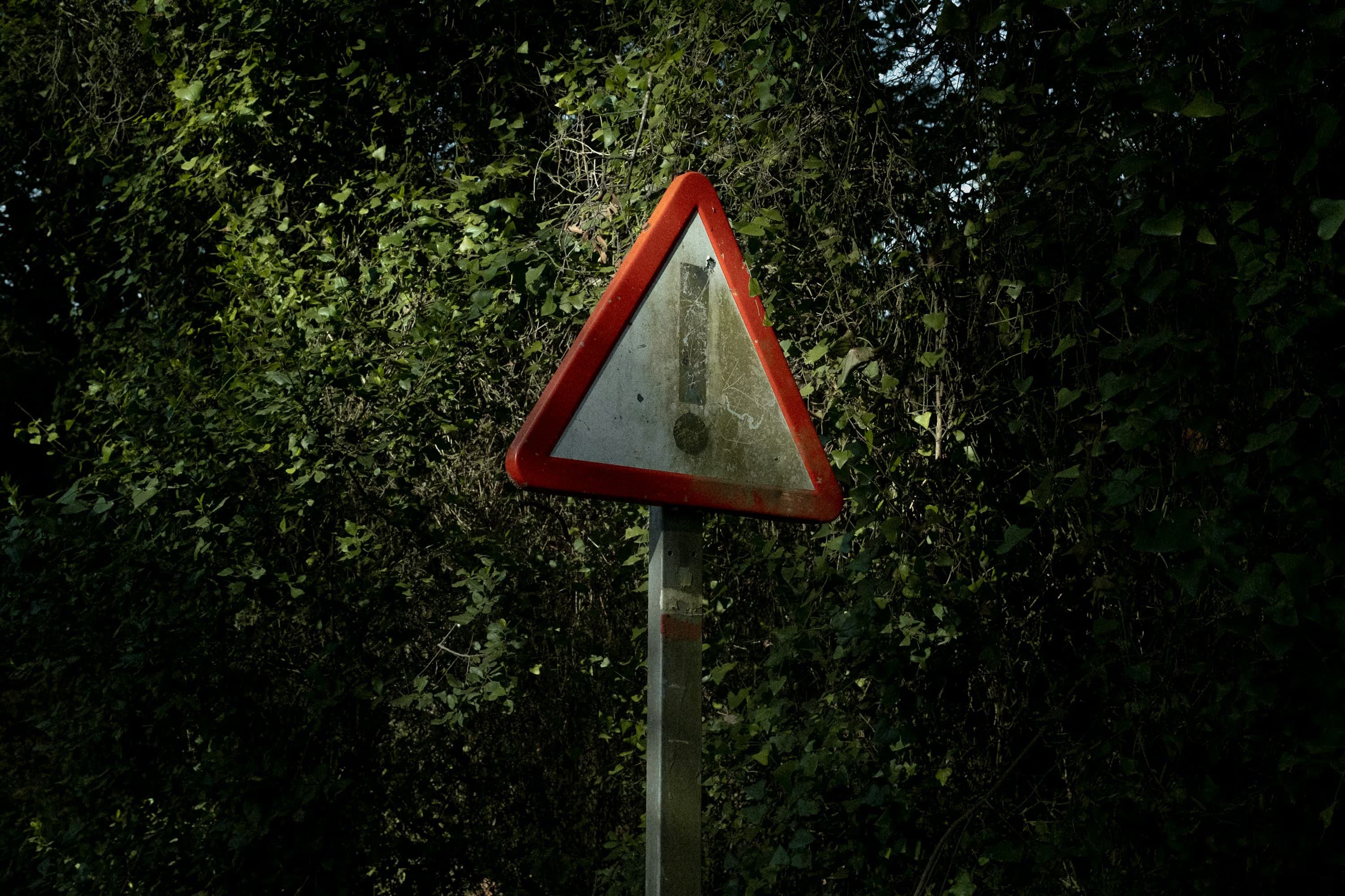 XRP Holders Put On Alert As David Schwartz Flags Dangerous New Scam