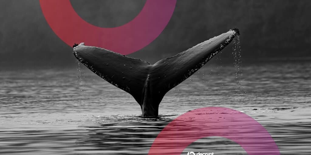 Ethereum ICO Whale Who Turned $3,100 Into $23M Wakes Up After a Decade
