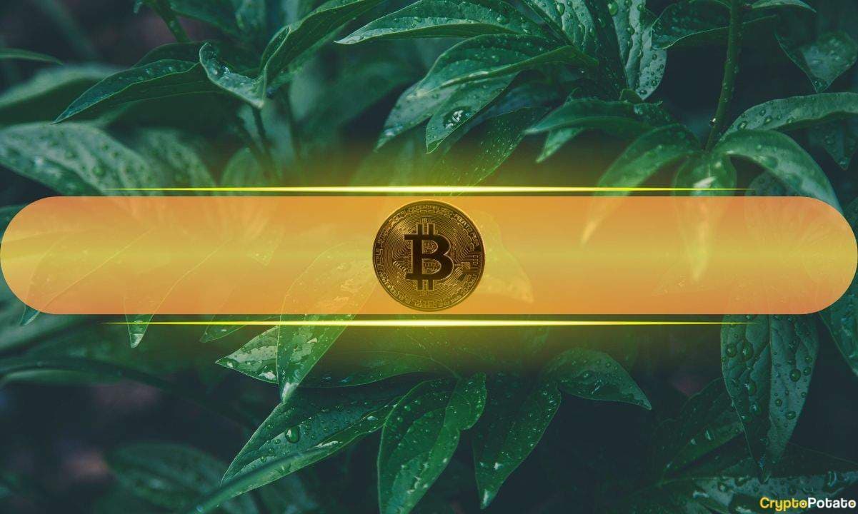 Bitcoin’s Two Use Cases Are Fueling Its Surge During Geopolitical Turmoil