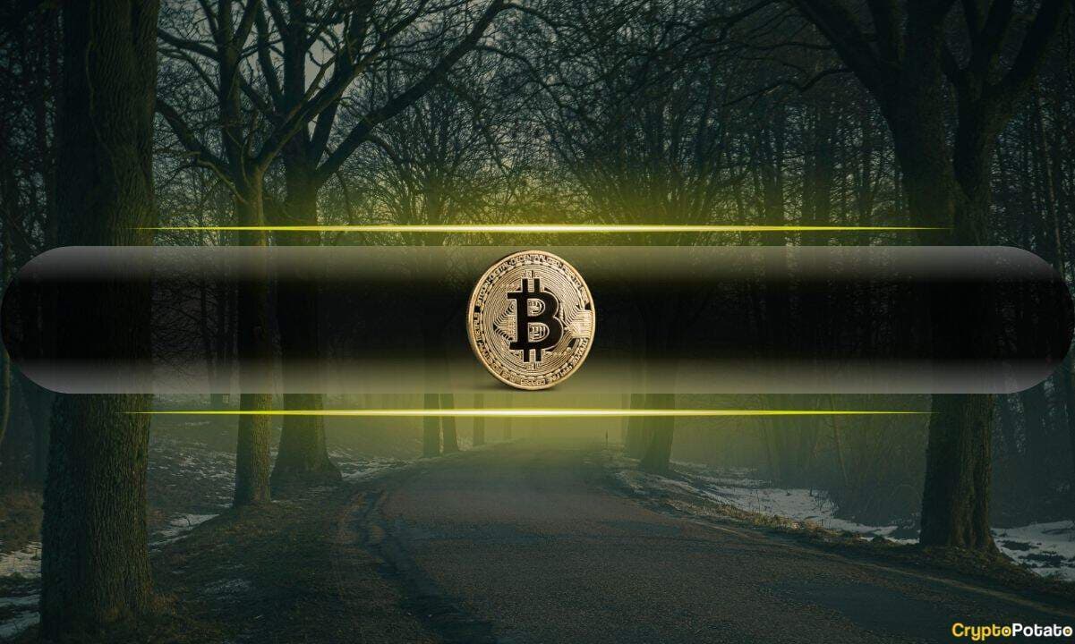 Analysis: Rally on the Cards as Bitcoin Derivatives Flash Extreme Pessimism