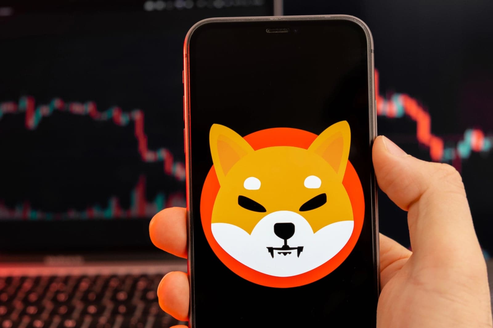 505 Billion Shiba Inu (SHIB) in 24 Hours: April's Biggest Bullish Sign Yet