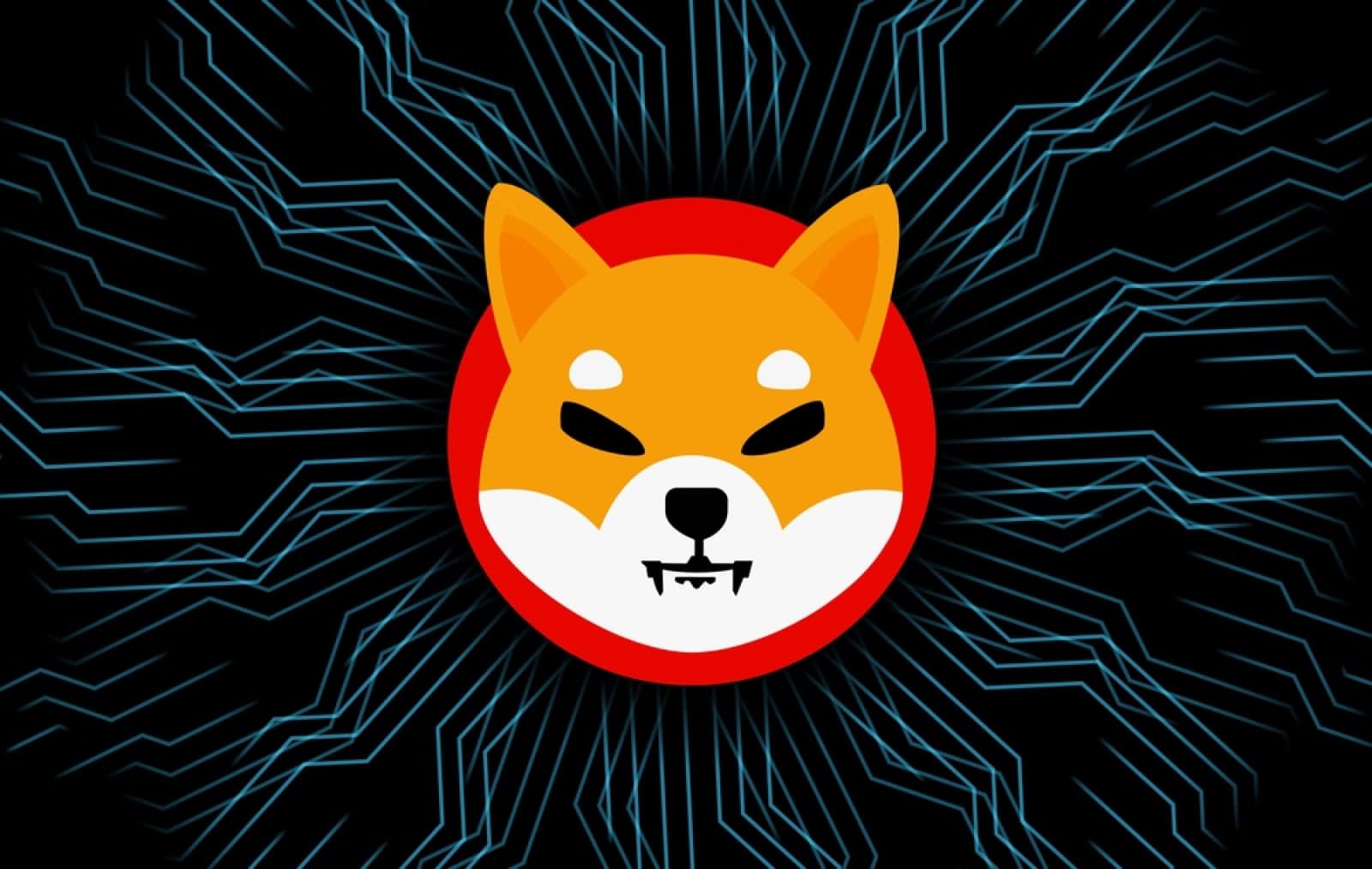 Only 43 Billion Shiba Inu (SHIB) Added to Exchanges in 24 Hours, Hinting at Decreasing Inflows
