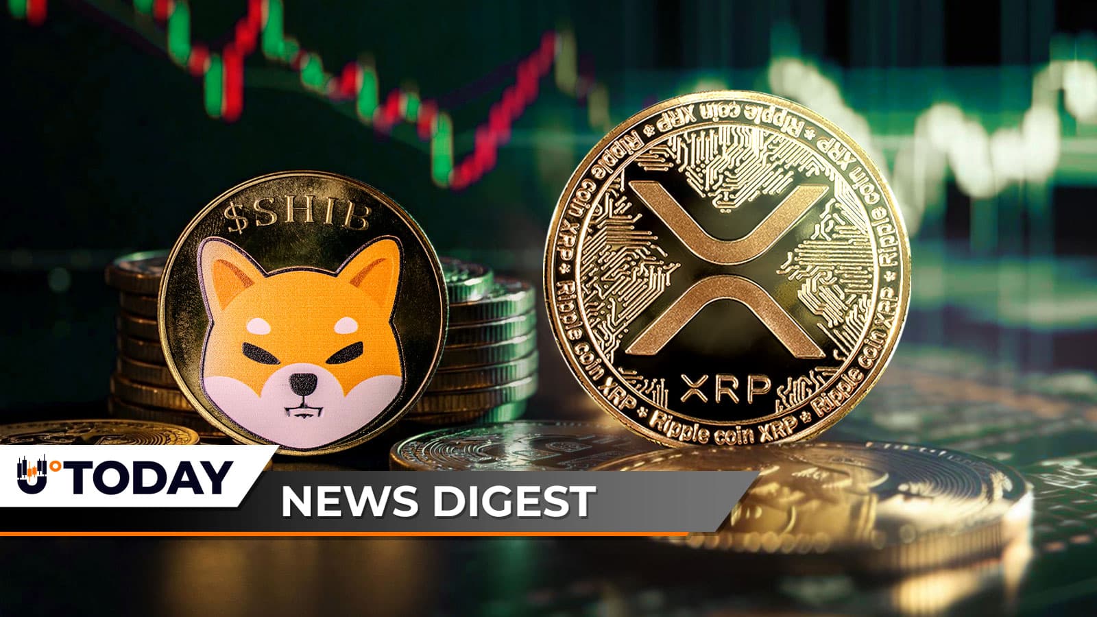 XRP Beats Bitcoin and Ethereum in ETF Flows, Shiba Inu Burn Rate Jumps 3,230%, Saylor Debunks Claims That Adam Back is Satoshi — U.Today Crypto Digest