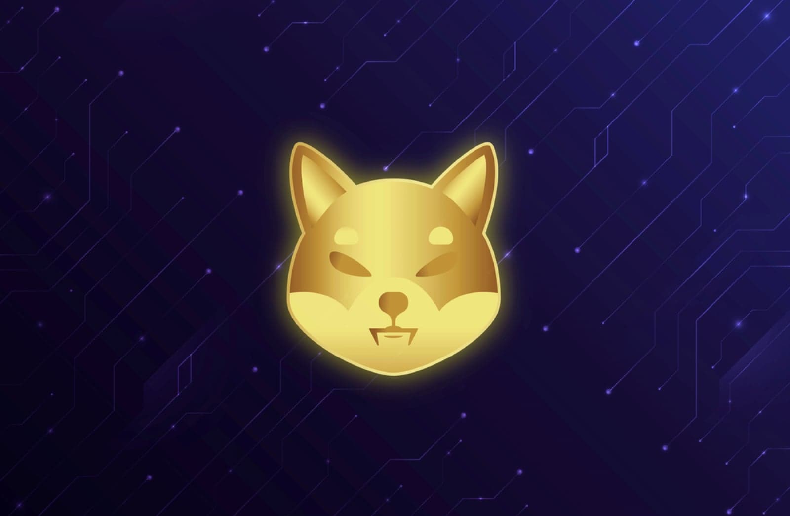 Shiba Inu (SHIB) Records 33.77% Exchange Withdrawal Spike: Accumulation Trend Emerges