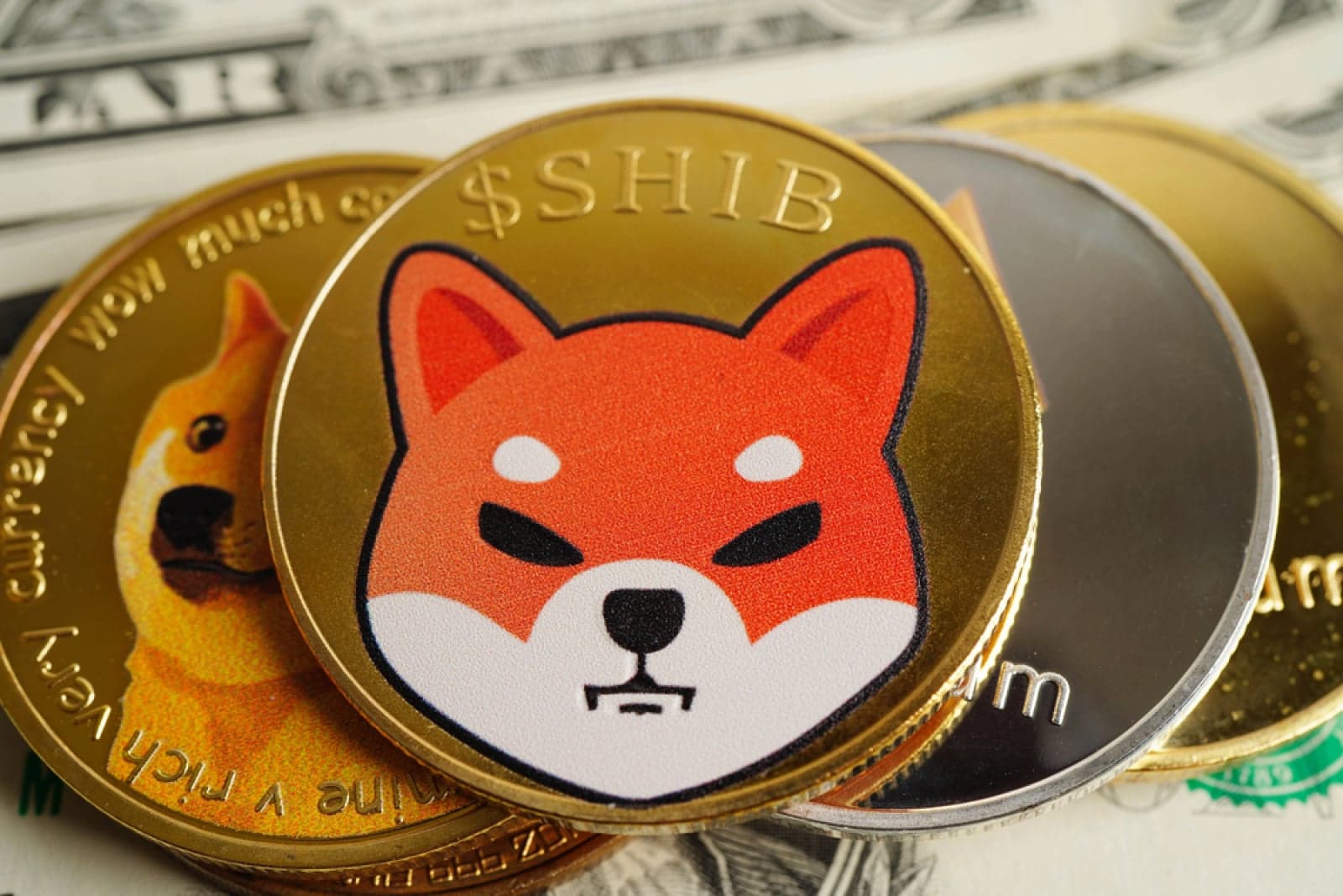 216% Shiba Inu (SHIB) Outbreak: 1.6 Billion Tokens Added